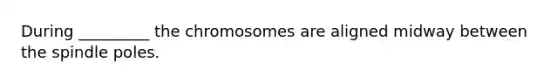 During _________ the chromosomes are aligned midway between the spindle poles.