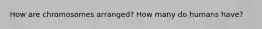 How are chromosomes arranged? How many do humans have?