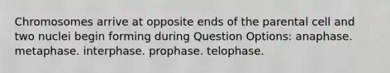 Chromosomes arrive at opposite ends of the parental cell and two nuclei begin forming during Question Options: anaphase. metaphase. interphase. prophase. telophase.