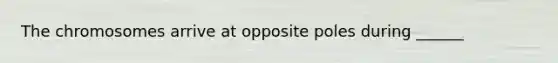 The chromosomes arrive at opposite poles during ______