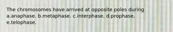 The chromosomes have arrived at opposite poles during a.anaphase. b.metaphase. c.interphase. d.prophase. e.telophase.