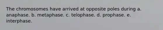 The chromosomes have arrived at opposite poles during a. anaphase. b. metaphase. c. telophase. d. prophase. e. interphase.