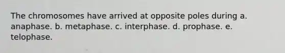 The chromosomes have arrived at opposite poles during a. anaphase. b. metaphase. c. interphase. d. prophase. e. telophase.