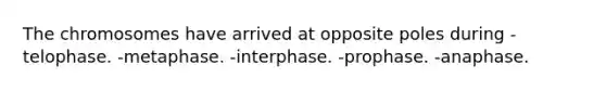 The chromosomes have arrived at opposite poles during -telophase. -metaphase. -interphase. -prophase. -anaphase.