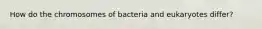 How do the chromosomes of bacteria and eukaryotes differ?