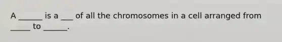 A ______ is a ___ of all the chromosomes in a cell arranged from _____ to ______.