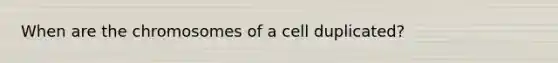 When are the chromosomes of a cell duplicated?