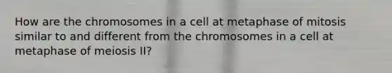 How are the chromosomes in a cell at metaphase of mitosis similar to and different from the chromosomes in a cell at metaphase of meiosis II?