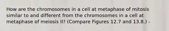 How are the chromosomes in a cell at metaphase of mitosis similar to and different from the chromosomes in a cell at metaphase of meiosis II? (Compare Figures 12.7 and 13.8.) -