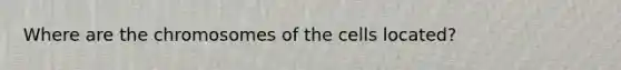 Where are the chromosomes of the cells located?