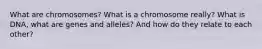 What are chromosomes? What is a chromosome really? What is DNA, what are genes and alleles? And how do they relate to each other?
