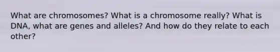 What are chromosomes? What is a chromosome really? What is DNA, what are genes and alleles? And how do they relate to each other?