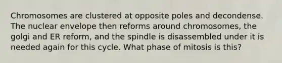 Chromosomes are clustered at opposite poles and decondense. The nuclear envelope then reforms around chromosomes, the golgi and ER reform, and the spindle is disassembled under it is needed again for this cycle. What phase of mitosis is this?