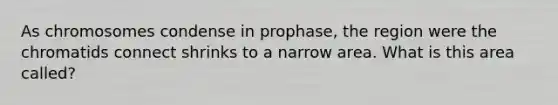 As chromosomes condense in prophase, the region were the chromatids connect shrinks to a narrow area. What is this area called?