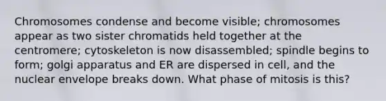 Chromosomes condense and become visible; chromosomes appear as two sister chromatids held together at the centromere; cytoskeleton is now disassembled; spindle begins to form; golgi apparatus and ER are dispersed in cell, and the nuclear envelope breaks down. What phase of mitosis is this?