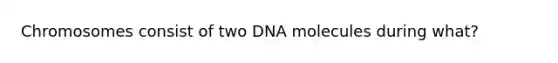 Chromosomes consist of two DNA molecules during what?