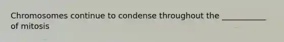 Chromosomes continue to condense throughout the ___________ of mitosis