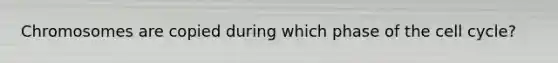 Chromosomes are copied during which phase of the cell cycle?