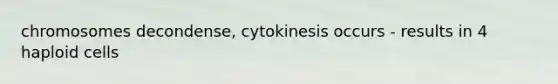 chromosomes decondense, cytokinesis occurs - results in 4 haploid cells