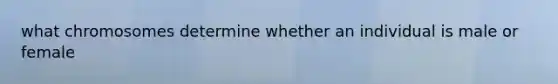 what chromosomes determine whether an individual is male or female