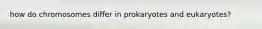 how do chromosomes differ in prokaryotes and eukaryotes?