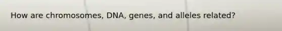 How are chromosomes, DNA, genes, and alleles related?