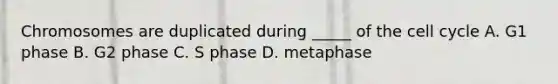 Chromosomes are duplicated during _____ of the cell cycle A. G1 phase B. G2 phase C. S phase D. metaphase