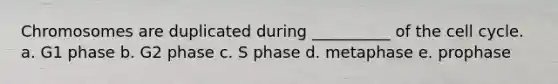 Chromosomes are duplicated during __________ of the cell cycle. a. G1 phase b. G2 phase c. S phase d. metaphase e. prophase