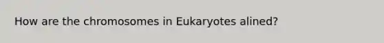 How are the chromosomes in Eukaryotes alined?