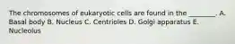 The chromosomes of eukaryotic cells are found in the ________. A. Basal body B. Nucleus C. Centrioles D. Golgi apparatus E. Nucleolus