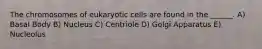 The chromosomes of eukaryotic cells are found in the ______. A) Basal Body B) Nucleus C) Centriole D) Golgi Apparatus E) Nucleolus