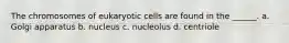 The chromosomes of eukaryotic cells are found in the ______. a. Golgi apparatus b. nucleus c. nucleolus d. centriole