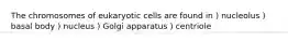 The chromosomes of eukaryotic cells are found in ) nucleolus ) basal body ) nucleus ) Golgi apparatus ) centriole