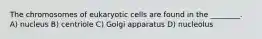 The chromosomes of eukaryotic cells are found in the ________. A) nucleus B) centriole C) Golgi apparatus D) nucleolus