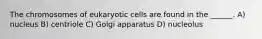 The chromosomes of eukaryotic cells are found in the ______. A) nucleus B) centriole C) Golgi apparatus D) nucleolus