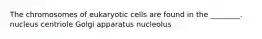 The chromosomes of eukaryotic cells are found in the ________. nucleus centriole Golgi apparatus nucleolus