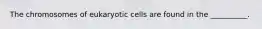 The chromosomes of eukaryotic cells are found in the __________.