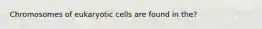 Chromosomes of eukaryotic cells are found in the?