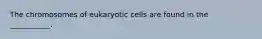 The chromosomes of eukaryotic cells are found in the ___________.