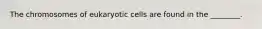 The chromosomes of eukaryotic cells are found in the ________.
