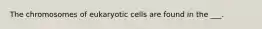 The chromosomes of eukaryotic cells are found in the ___.