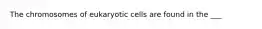 The chromosomes of eukaryotic cells are found in the ___