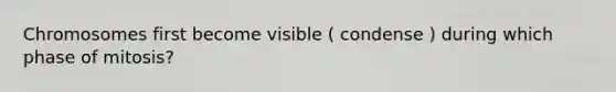 Chromosomes first become visible ( condense ) during which phase of mitosis?