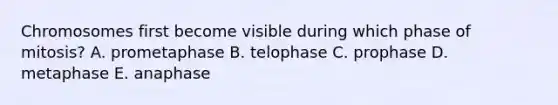 Chromosomes first become visible during which phase of mitosis? A. prometaphase B. telophase C. prophase D. metaphase E. anaphase