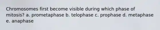 Chromosomes first become visible during which phase of mitosis? a. prometaphase b. telophase c. prophase d. metaphase e. anaphase