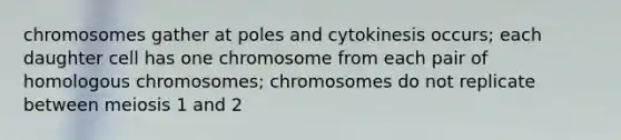 chromosomes gather at poles and cytokinesis occurs; each daughter cell has one chromosome from each pair of homologous chromosomes; chromosomes do not replicate between meiosis 1 and 2