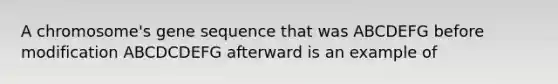 A chromosome's gene sequence that was ABCDEFG before modification ABCDCDEFG afterward is an example of