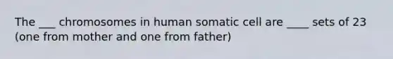 The ___ chromosomes in human somatic cell are ____ sets of 23 (one from mother and one from father)