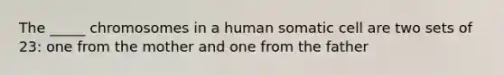 The _____ chromosomes in a human somatic cell are two sets of 23: one from the mother and one from the father