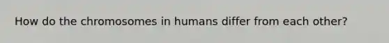 How do the chromosomes in humans differ from each other?